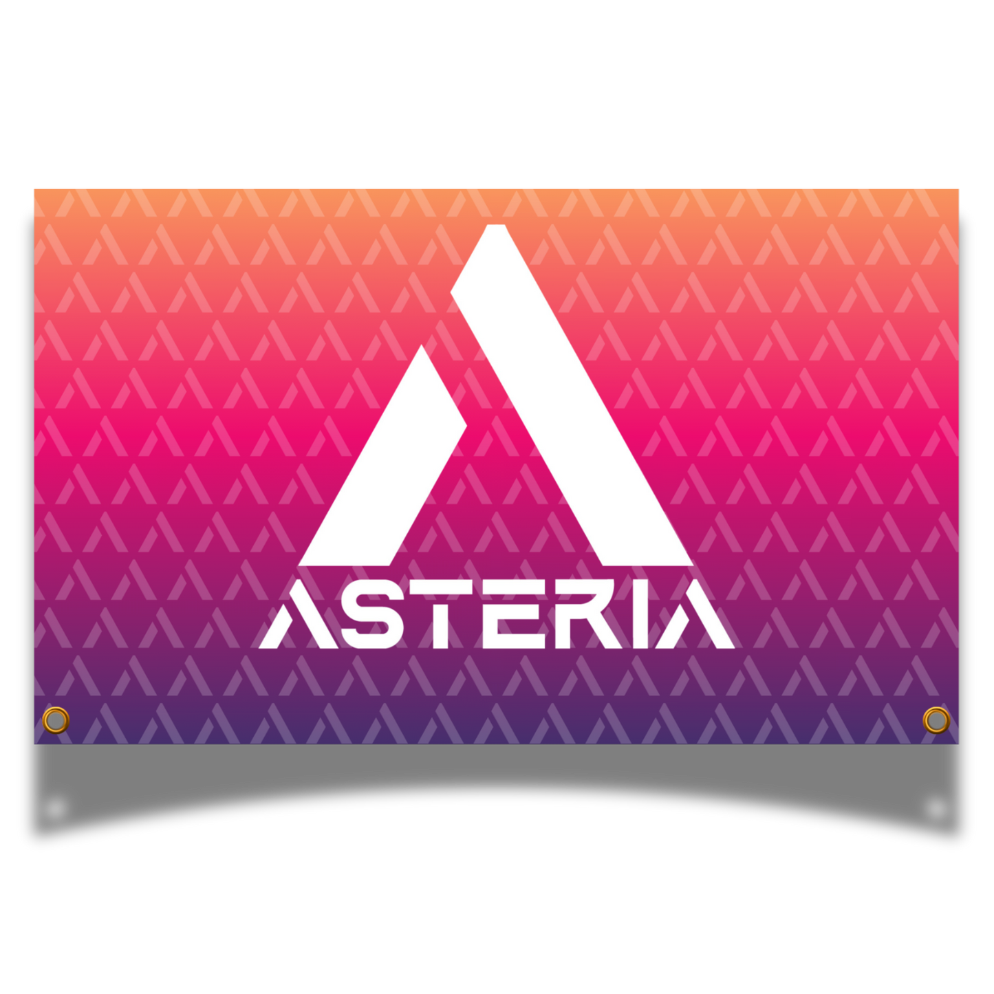 Classic ASTERIA Flag - Ocean Blue & Sunset Pink